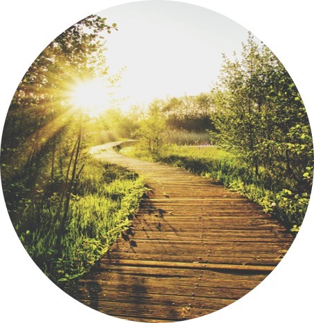 reconnexion sensible nature foret de soigne